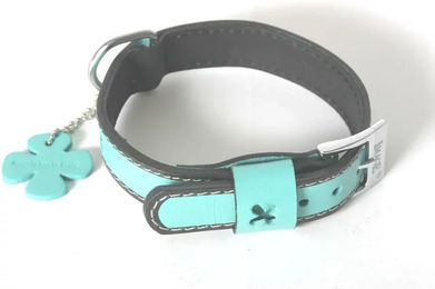 Produktbild von Hundehalsband aus Leder von Martin Sellier in Grau oder Türkis 35/60 cm