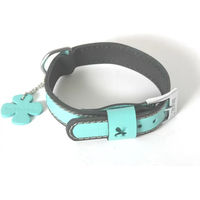 Produktbild von Hundehalsband aus Leder von Martin Sellier in Grau oder Türkis 35/60 cm