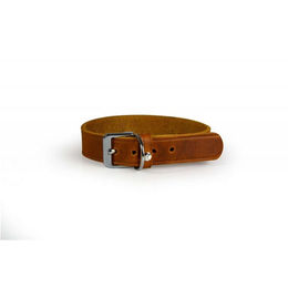 Produktbild von Hundehalsband aus Leder Weinheim Maroon 18 mm Breite und 37 cm Länge