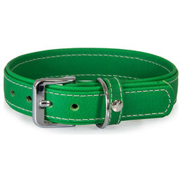 Produktbild von Hundehalsband Barcelona Summer-Green aus Bio-Leder in Grün Mini 25 cm