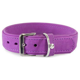 Produktbild von Hundehalsband Boston aus Leder in Lila 25 cm