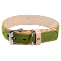 Produktbild von Hundehalsband Das Lederband Norden aus Leder Lime/Natural 60 cm x 40 mm
