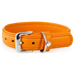 Produktbild von Hundehalsband Denver aus Leder in Cognac Braun 45 cm x 25 mm