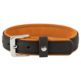 Hundehalsband Denver V2 aus Leder Schwarz/Cognac 45 cm x 25 mm – Bild 1 von 1