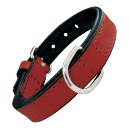 Hundehalsband Gloria aus Kunstleder in Rot (50 x 2,5 cm) - 250 g – Bild 1 von 2