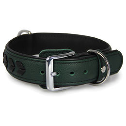 Produktbild von Hundehalsband Granada aus Leder grün/schwarz 45 cm x 30 mm