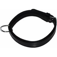 Produktbild von Hundehalsband Hekktor aus Leder in Schwarz Größe M für erwachsene Hunde