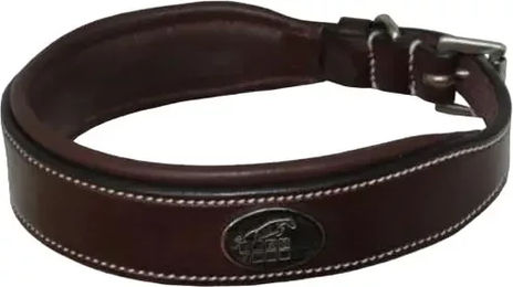 Hundehalsband Jump'In aus Leder in Schwarz oder Braun 65 cm – Bild 1 von 1
