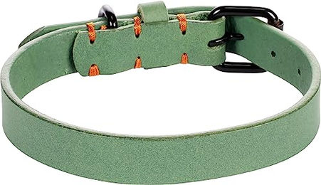 Hundehalsband Leano Flamingo aus Leder in Grün S/M 31-39 cm – Bild 1 von 6