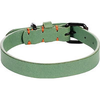 Produktbild von Hundehalsband Leano Flamingo aus Leder in Grün S/M 31-39 cm
