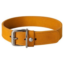 Hundehalsband Leder Weinheim Yellow Gelb 27 cm Breite 12 mm – Bild 1 von 1