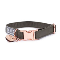 Produktbild von Hundehalsband Lotte aus Stoff in Grün wasserabweisend 22-34cm