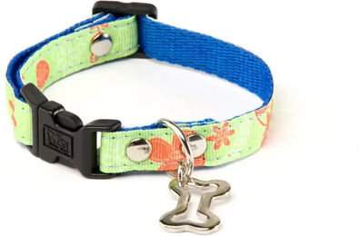 Produktbild von Hundehalsband Martin Sellier aus Nylon in Grün Bunt Größe S