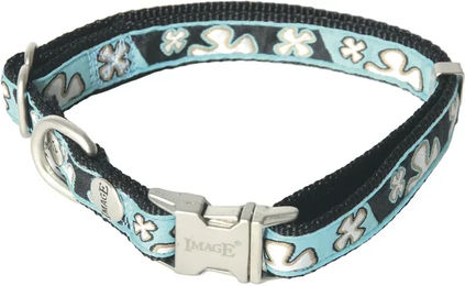 Produktbild von Hundehalsband Martin Sellier Bowxy in Blau und Türkis mit Gurtband 20/40-55 cm