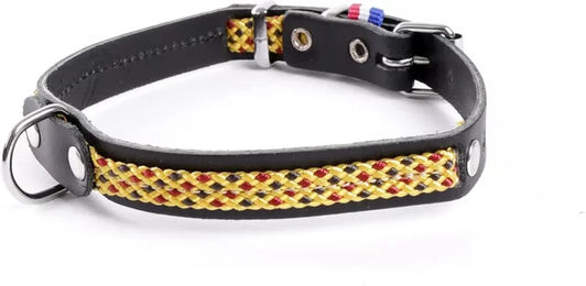 Produktbild von Hundehalsband Martin Sellier Colorado aus Leder in Gelb Bunt 14/40 cm