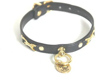 Produktbild von Hundehalsband Martin Sellier Deco Agrafe aus Leder in Schwarz und Gold
