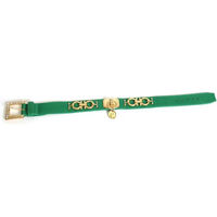 Produktbild von Hundehalsband Martin Sellier Deco aus Leder in Grün 25/40 cm