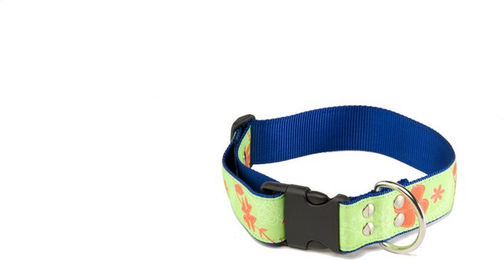 Hundehalsband Martin Sellier Floralis Grün Polyamid Größe L 40-64cm – Bild 1 von 1