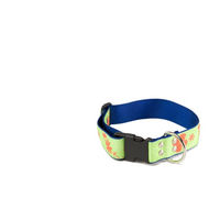 Produktbild von Hundehalsband Martin Sellier Floralis Grün Polyamid Größe L 40-64cm