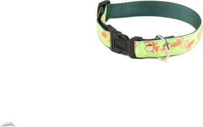 Produktbild von Hundehalsband Martin Sellier Grün Größe M