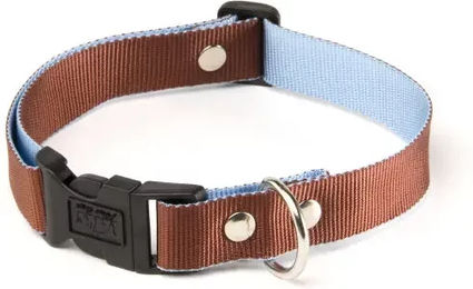 Produktbild von Hundehalsband Martin Sellier Gurtband Größe M