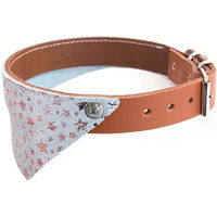 Produktbild von Hundehalsband Martin Sellier Miami aus Leder in Braun und Gold 30 cm