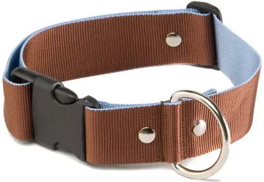 Produktbild von Hundehalsband Martin Sellier mit Gurtband in Größe L