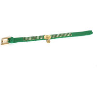 Produktbild von Hundehalsband Martin Sellier mit Strass aus Kunstleder in Grün 25/35 cm