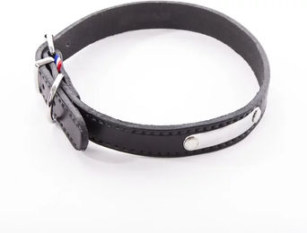 Produktbild von Hundehalsband Martin Sellier Rive aus Leder in Schwarz 25/60 cm