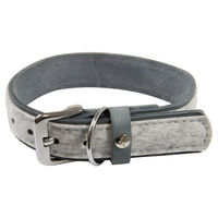 Produktbild von Hundehalsband Norden aus Leder in Grau, Länge 70 cm, Breite 40 mm