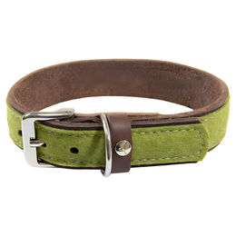 Produktbild von Hundehalsband Norden aus Leder in Lime/Mocca mit 45 cm Länge und 25 mm Breite