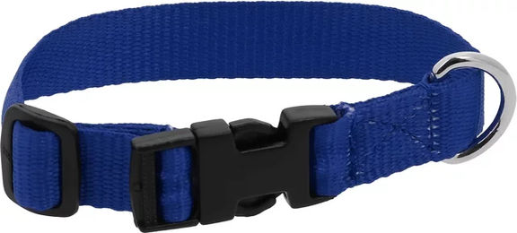 Produktbild von Hundehalsband Riding World aus Nylon in Blau