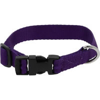 Produktbild von Hundehalsband Riding World aus Nylon in Lila