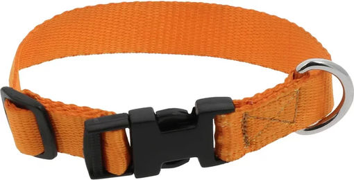 Produktbild von Hundehalsband Riding World aus Nylon in Orange