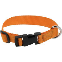 Produktbild von Hundehalsband Riding World aus Nylon in Orange