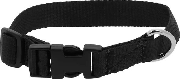 Produktbild von Hundehalsband Riding World aus Nylon in Schwarz