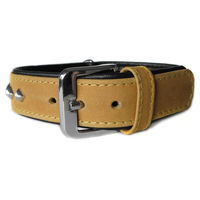Produktbild von Hundehalsband Roma aus Leder in Beige und Schwarz 55 cm x 35 mm