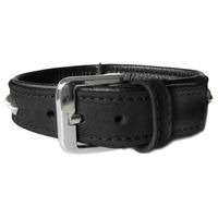 Produktbild von Hundehalsband Roma aus Leder in Schwarz mit 70 cm Länge und 40 mm Breite