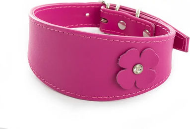 Produktbild von Hundehalsband Sellerie Canine Vendéenne aus Leder in Rosa 34 cm