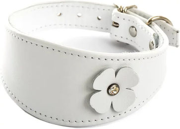Produktbild von Hundehalsband Sellerie Canine Vendéenne aus Leder in Weiß 30 cm