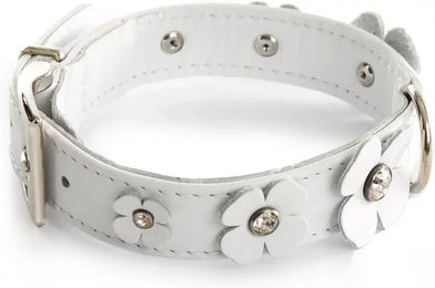 Produktbild von Hundehalsband Sellerie Canine Vendéenne Trefle aus Leder weiß wasserabweisend 14/31 cm