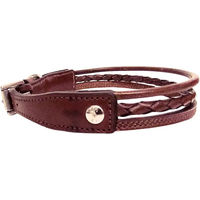 Produktbild von Hundehalsband Silver Crown aus Leder in Braun und Silber für erwachsene Hunde