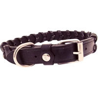 Produktbild von Hundehalsband Silver Crown Bredie aus Leder in Schwarz für erwachsene Hunde