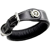 Produktbild von Hundehalsband Silver Crown Carlotta aus Leder in Schwarz für erwachsene Hunde