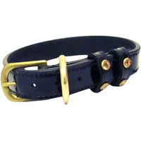 Produktbild von Hundehalsband Silver Crown Cavaletti mit Strass aus Kunstleder 45 cm