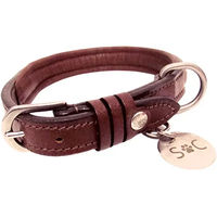 Produktbild von Hundehalsband Silver Crown JO aus Leder in Silber und Braun für erwachsene Hunde