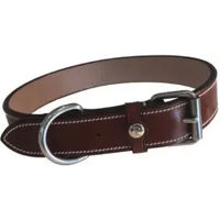 Produktbild von Hundehalsband Silver Crown Karl aus Leder für erwachsene Hunde in Schwarz oder Braun
