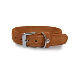 Produktbild von Hundehalsband Toronto aus Leder in Cognac Braun 25 mm x 45 cm wasserfest