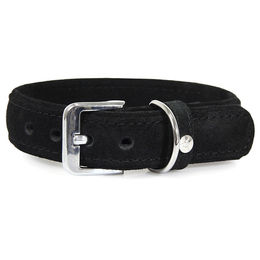 Hundehalsband Toronto aus Leder schwarz wasserabweisend 35 cm x 12 mm – Bild 1 von 1
