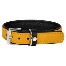 Hundehalsband Vancouver aus Leder in Gelb-Schwarz, Länge 55 cm, Breite 35 mm – Bild 1 von 1